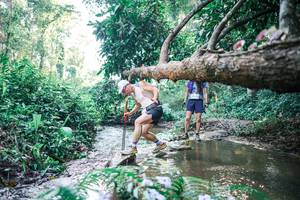 BIB: 
                            <button type="button" onclick="openModal(25434090)" class="btn btn-primary btn-sm float-right btn-popup" data-toggle="modal" data-target=".modal-high-quality">
                        <i class="fas fa-shopping-cart"></i> Add to Cart
                    </button>
                                            <button type="button" onclick="isThisMe(25434090, true)" class="btn btn-success btn-sm float-right btn-popup btn-isme hidden" data-toggle="tooltip" data-placement="bottom" title="นี่คือรูปของคุณใช่ไหม คลิกที่นี่เพื่อเอาเข้าอัลบั้ม">
                        <i class="fas fa-plus"></i> Add to album
                    </button>
                    <button type="button" onclick="isThisMe(25434090, false)" class="btn btn-warning btn-sm float-right btn-popup btn-isnotme hidden">
                        <i class="fas fa-ban"></i> Remove from album
                    </button>